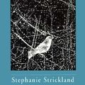 Cover Art for 9780268018993, True North by Stephanie Strickland