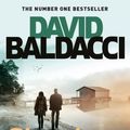 Cover Art for 9781529019179, Simple Genius (King and Maxwell) by David Baldacci