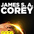 Cover Art for B008CJ241O, Gods of Risk by James S. a. Corey