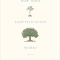 Cover Art for 9781433556135, How Does Sanctification Work? by David Powlison