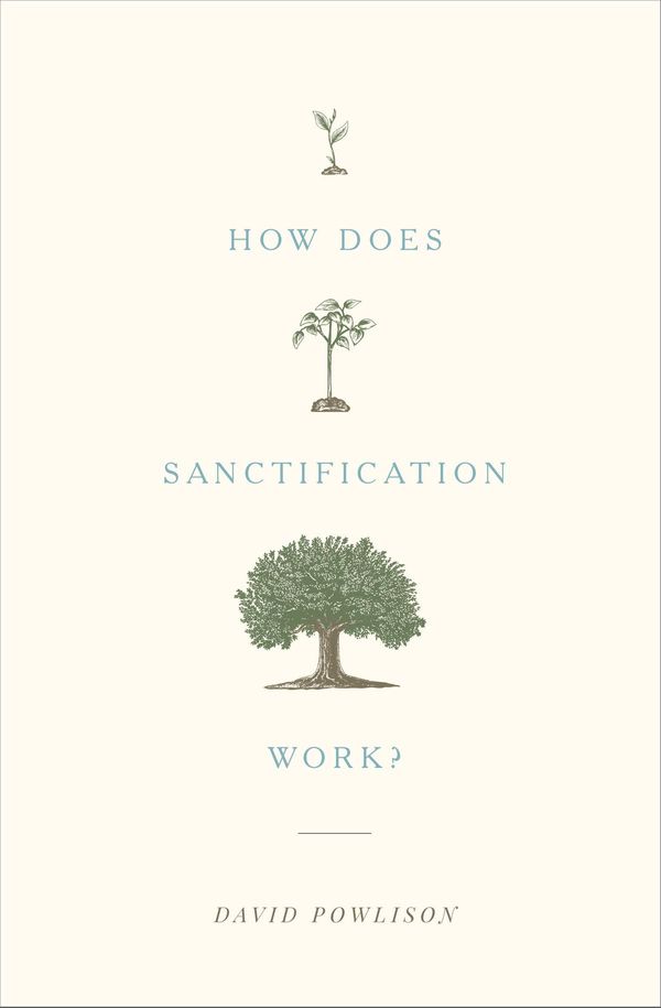 Cover Art for 9781433556135, How Does Sanctification Work? by David Powlison