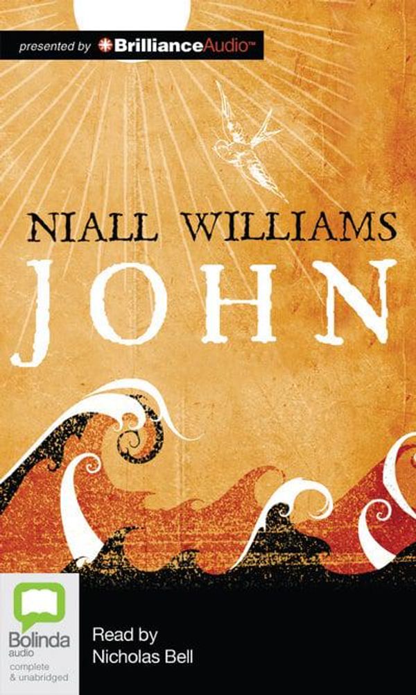 Cover Art for 9781743141939, John by Niall Williams