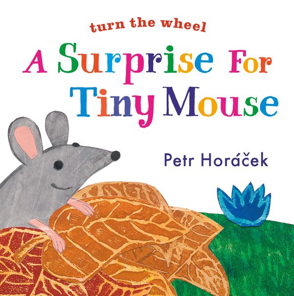 Cover Art for 9780763679675, A Surprise for Tiny Mouse by Petr Horacek