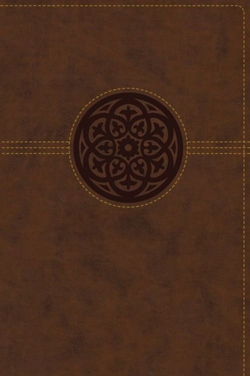 Cover Art for 9780310453277, NRSV Thinline Reference Bible [Large Print, Brown] by Zondervan