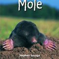 Cover Art for 9781435849891, Mole by Stephen Savage