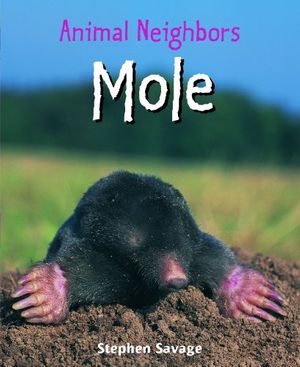 Cover Art for 9781435849891, Mole by Stephen Savage