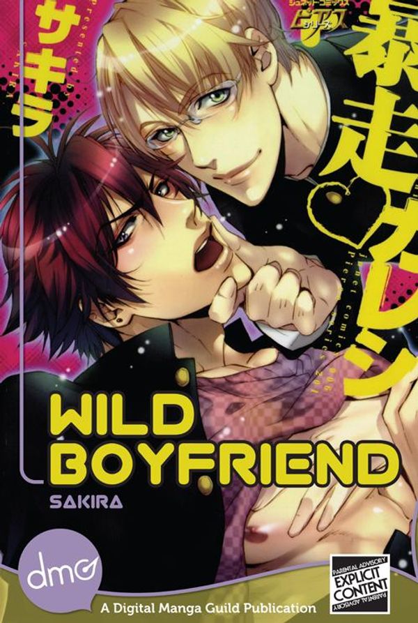 Cover Art for 9781613131725, Wild Boyfriend by Sakira