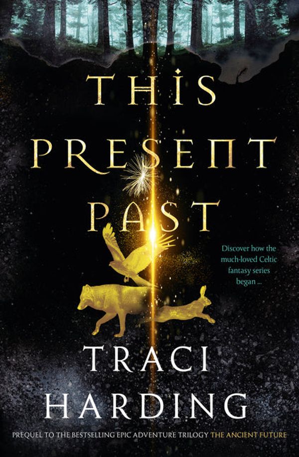 Cover Art for 9781460708101, This Present Past by Traci Harding