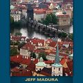 Cover Art for 9781439038338, International Financial Management by Jeff Madura