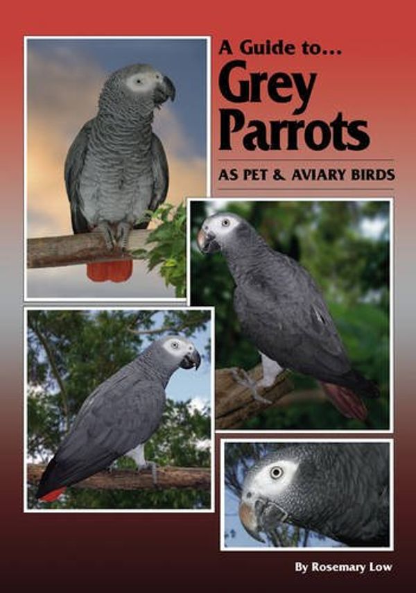 Cover Art for 9780975081754, A Guide to Grey Parrots as Pets and Aviary Birds by Rosemary Low