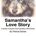Cover Art for 9780595310654, Samantha's Love Story by Patricia Daniels