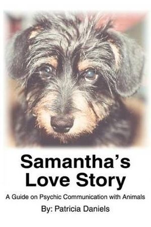 Cover Art for 9780595310654, Samantha's Love Story by Patricia Daniels