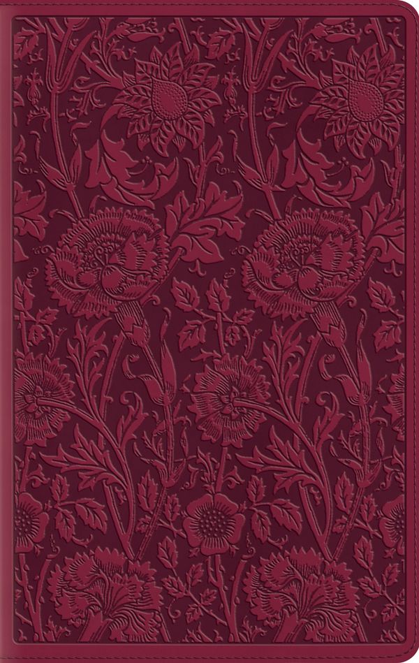 Cover Art for 9781433545771, ESV Large Print Compact Bible (Trutone, Berry, Floral Design) by Crossway Bibles
