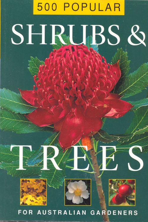 Cover Art for 9780091835989, 500 Popular Shrubs and Trees by Random House Australia