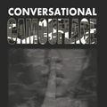 Cover Art for 9781984966872, Conversational Camouflage: Oratory Discretion and Pretexting for Behavioral Concealment by Matthew Dermody