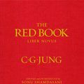Cover Art for 9780393065671, The Red Book by C. G. Jung