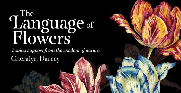 Cover Art for 9781925682984, The Language of Flowers: Loving Support from the Wisdom of Nature (Mini Inspiration Cards) by Cheralyn Darcey