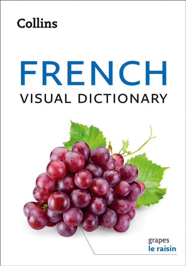 Cover Art for 9780008319991, Collins French Visual Dictionary by Collins Dictionaries