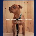 Cover Art for 9783865210944, American Pitbull by James Frey