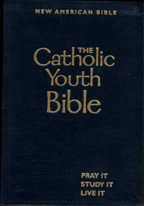 Cover Art for 9780884897460, The Catholic Youth Bible by Brian Singer-Towns