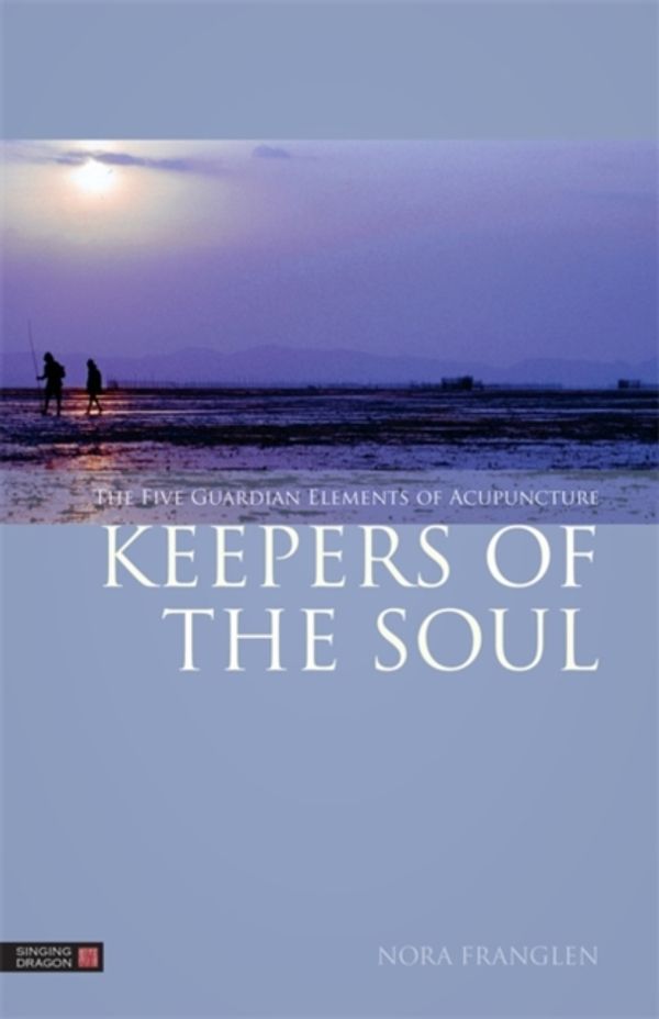 Cover Art for 9781848191853, Keepers of the Soul by Nora Franglen