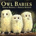 Cover Art for 9781406304459, Owl Babies by Martin Waddell, Martin Waddell Martin, Patrick Benson Patrick, Emilia Fox