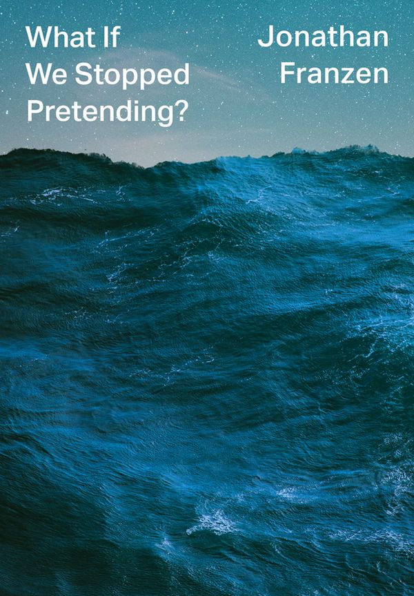 Cover Art for 9780008434045, What If We Stopped Pretending? by Jonathan Franzen