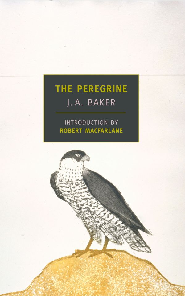 Cover Art for 9781590171332, The Peregrine by J. A. Baker
