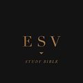Cover Art for 9781433557644, Holy Bible: Esv Study Bible, Personal Size Black by Crossway