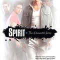 Cover Art for 9780758289162, Spirit by Brigid Kemmerer