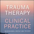 Cover Art for 9780335263097, Trauma Therapy and Clinical Practice by Miriam Taylor