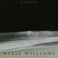 Cover Art for 9781596919358, John: A Novel by Niall Williams