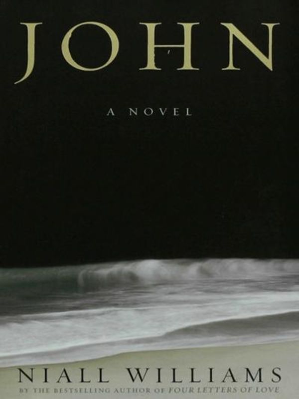 Cover Art for 9781596919358, John: A Novel by Niall Williams