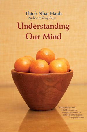 Cover Art for 9781888375305, Understanding Our Mind by Thich Nhat Hanh