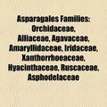 Cover Art for 9781155851945, Asparagales Families: Orchidaceae, Allia by Books Llc