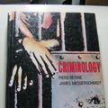 Cover Art for 9780155161221, Criminology by Piers Beirne, James W. Messerschmidt