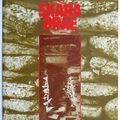 Cover Art for 9780114917555, Skara Brae by D. V Clarke