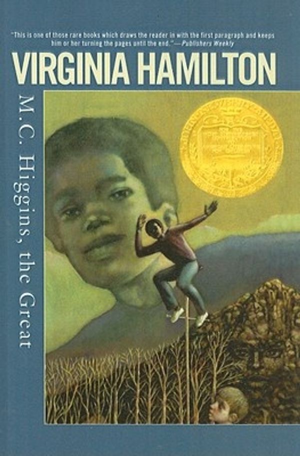 Cover Art for 9780756968090, M.C. Higgins, the Great by Virginia Hamilton