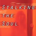 Cover Art for 9781933527680, Stalking the Soul by Marie-France Hirigoyen