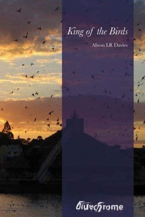Cover Art for 9781904781387, King of the Birds by Davies, Alison L.R.