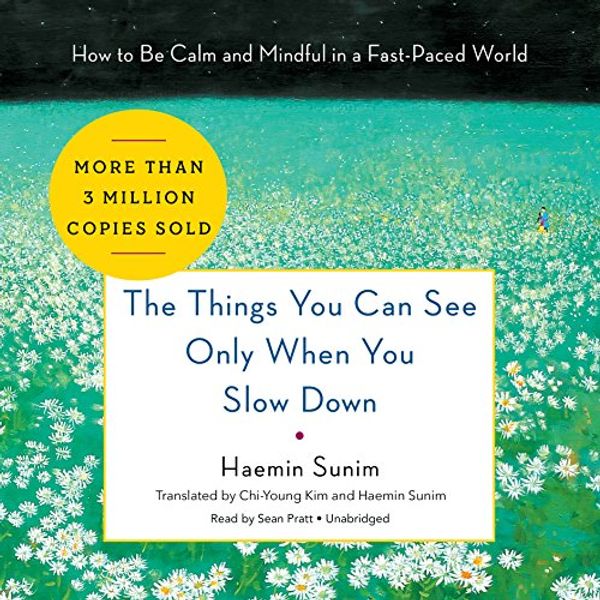Cover Art for B01N38FDB5, The Things You Can See Only When You Slow Down by Haemin Sunim, Haemin Sunim-Translation, Chi-Young Kim-Translation