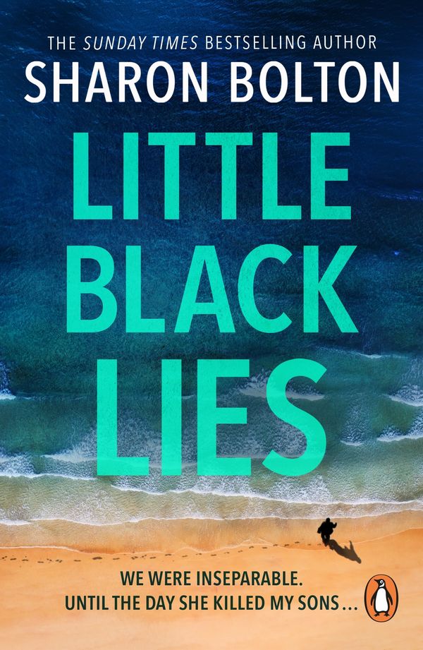 Cover Art for 9781446487853, Little Black Lies by Sharon Bolton