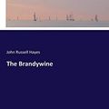 Cover Art for 9783337329167, The Brandywine by John Russell Hayes