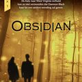 Cover Art for 9789401913706, Obsidian: Lux 1 by Jennifer L. Armentrout