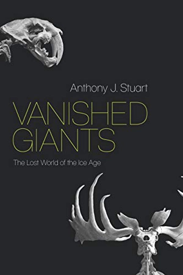 Cover Art for B08FBLCLC7, Vanished Giants: The Lost World of the Ice Age by Anthony J. Stuart