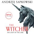 Cover Art for 9781478915713, The Lady of the Lake by Andrzej Sapkowski