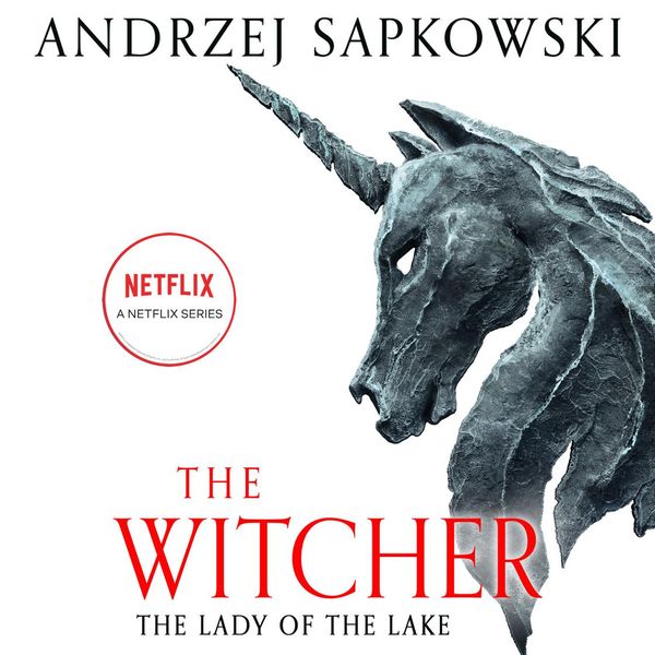 Cover Art for 9781478915713, The Lady of the Lake by Andrzej Sapkowski