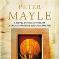 Cover Art for 9780751534160, A Good Year by Peter Mayle