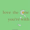 Cover Art for 9780312348670, Love the One You're with by Emily Giffin
