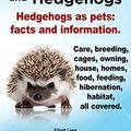 Cover Art for 9781909151123, African Pygmy Hedgehogs and Hedgehogs. Hedgehogs as Pets by Elliott Lang